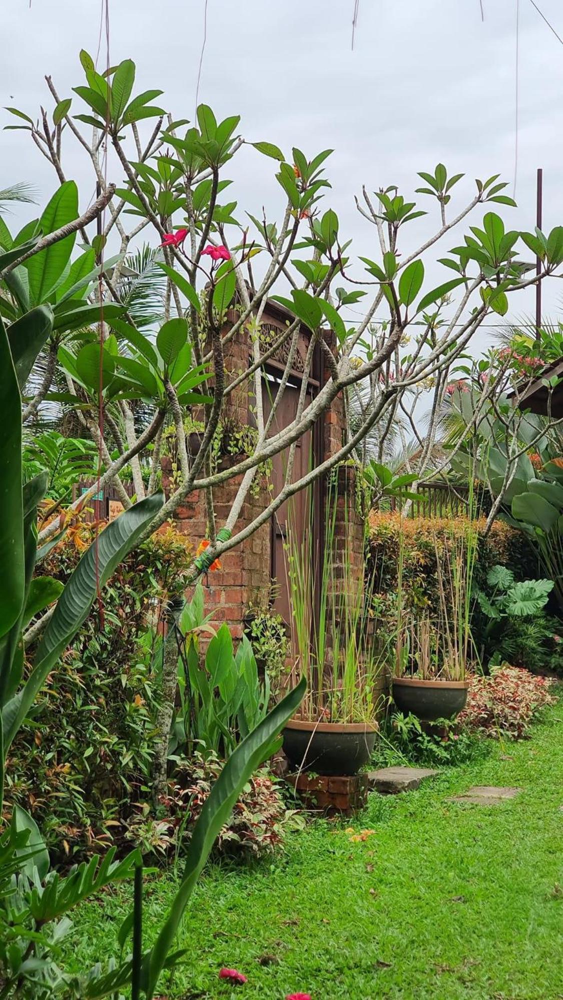 Kebun Puisi Villa Kajang Luaran gambar