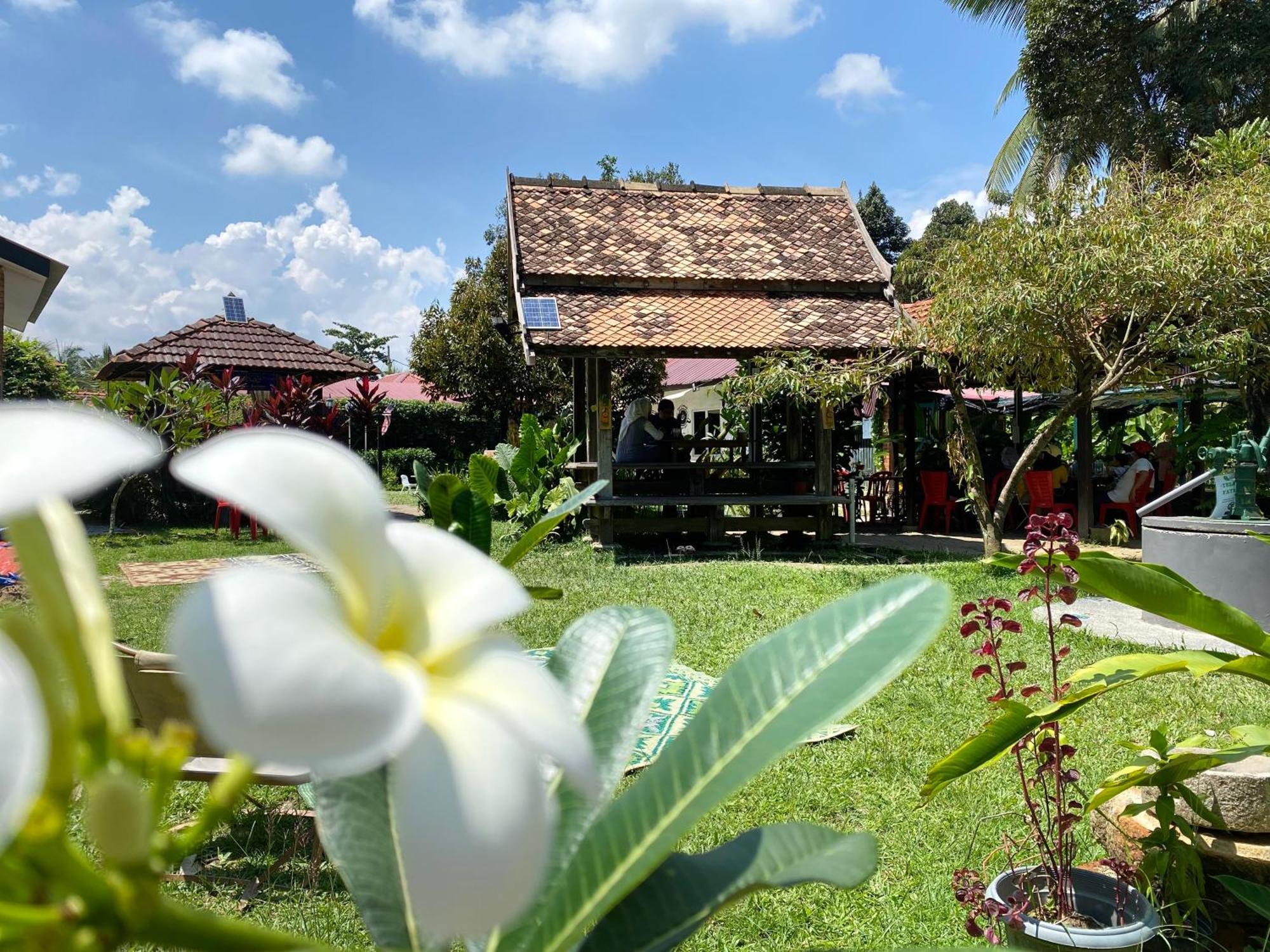 Kebun Puisi Villa Kajang Luaran gambar